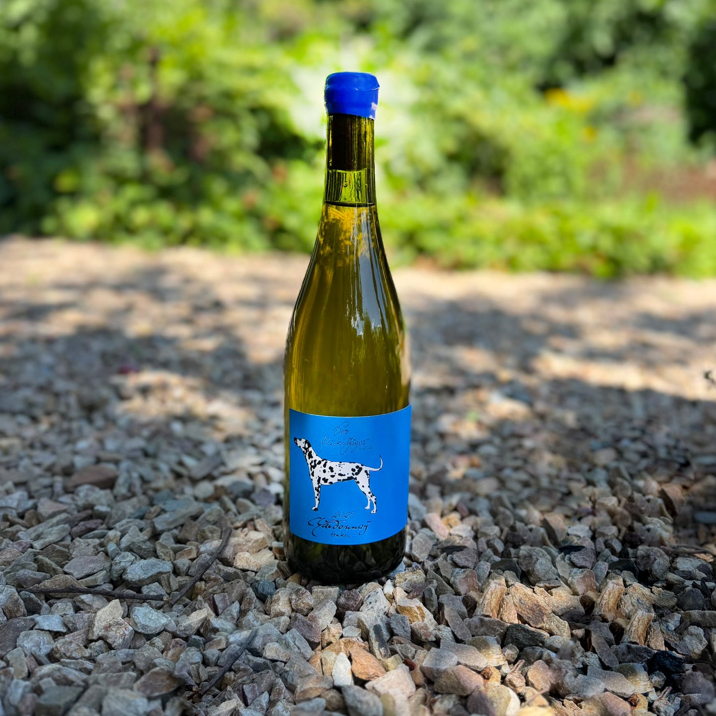 Chardonnay trocken 2025