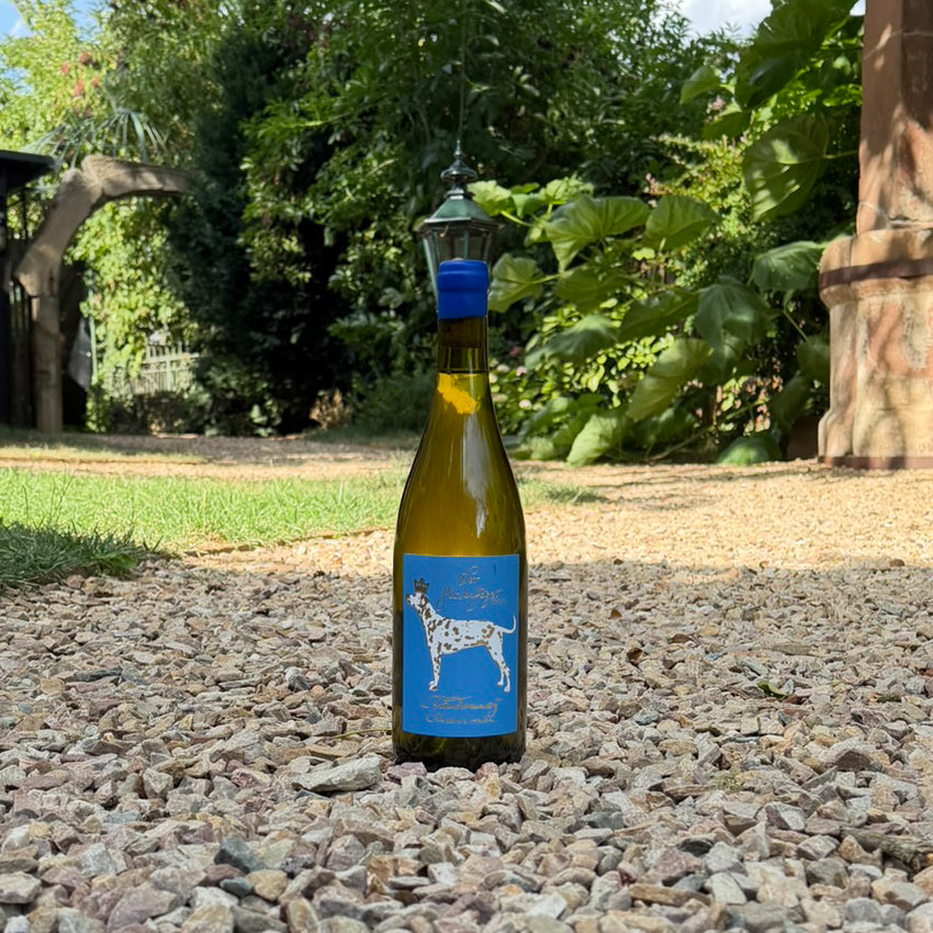 Chardonnay Reserve trocken 2025
