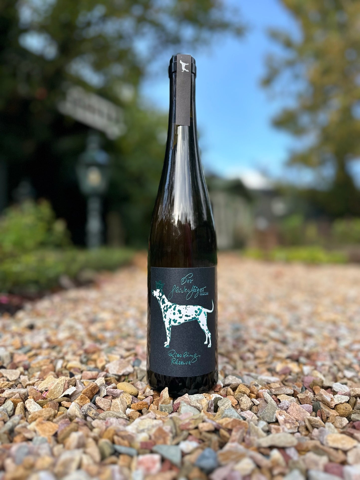 Riesling Reserve trocken 2022