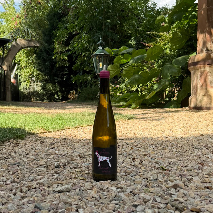 2025 Riesling Kristall trocken
