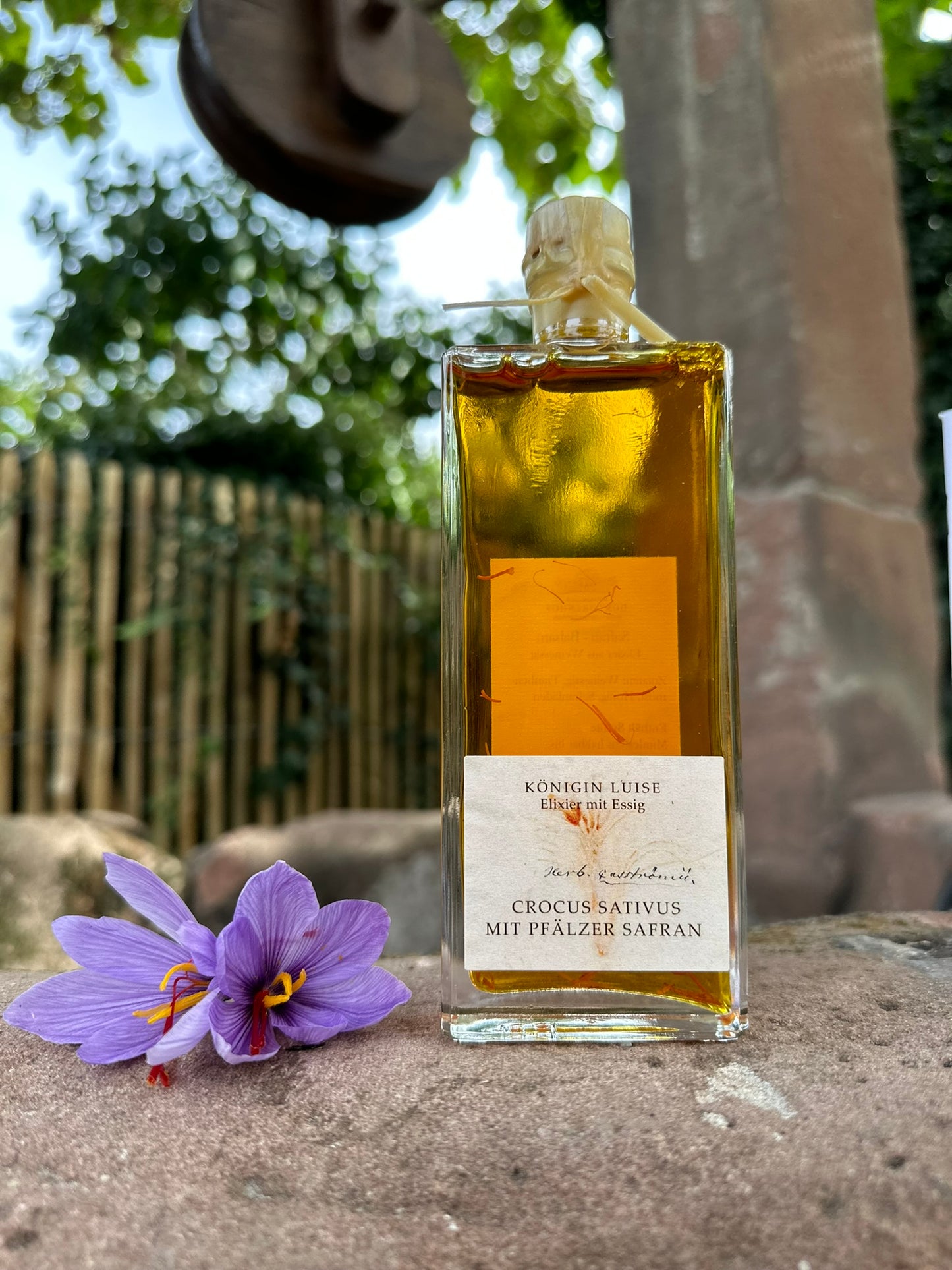 Safran - Zauberpflanzen - Balsam