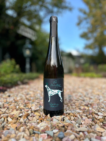Riesling Reserve trocken 2022
