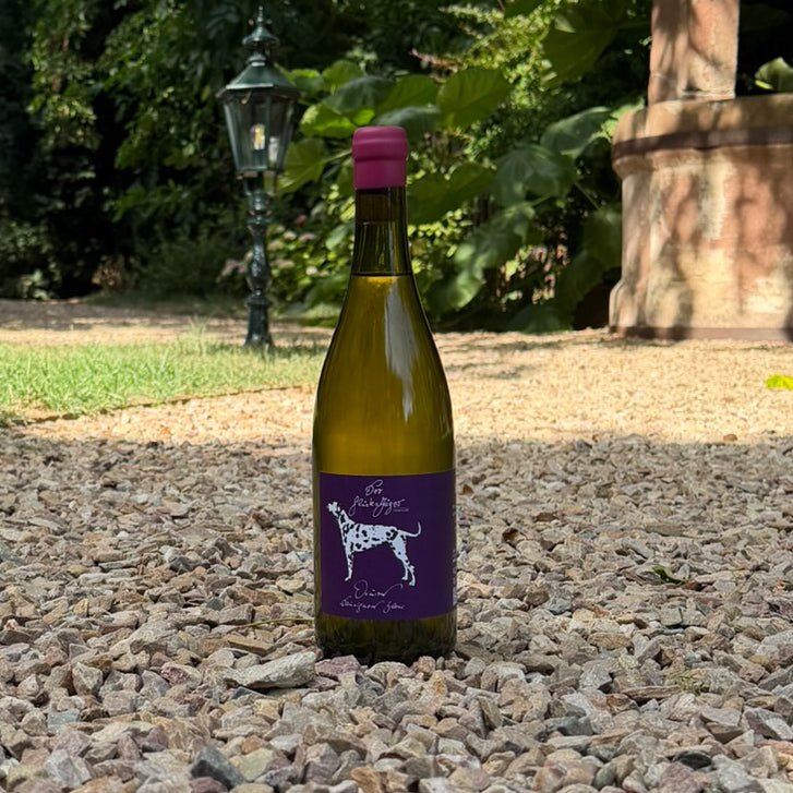 2025 Sauvignon blanc Ovum trocken
