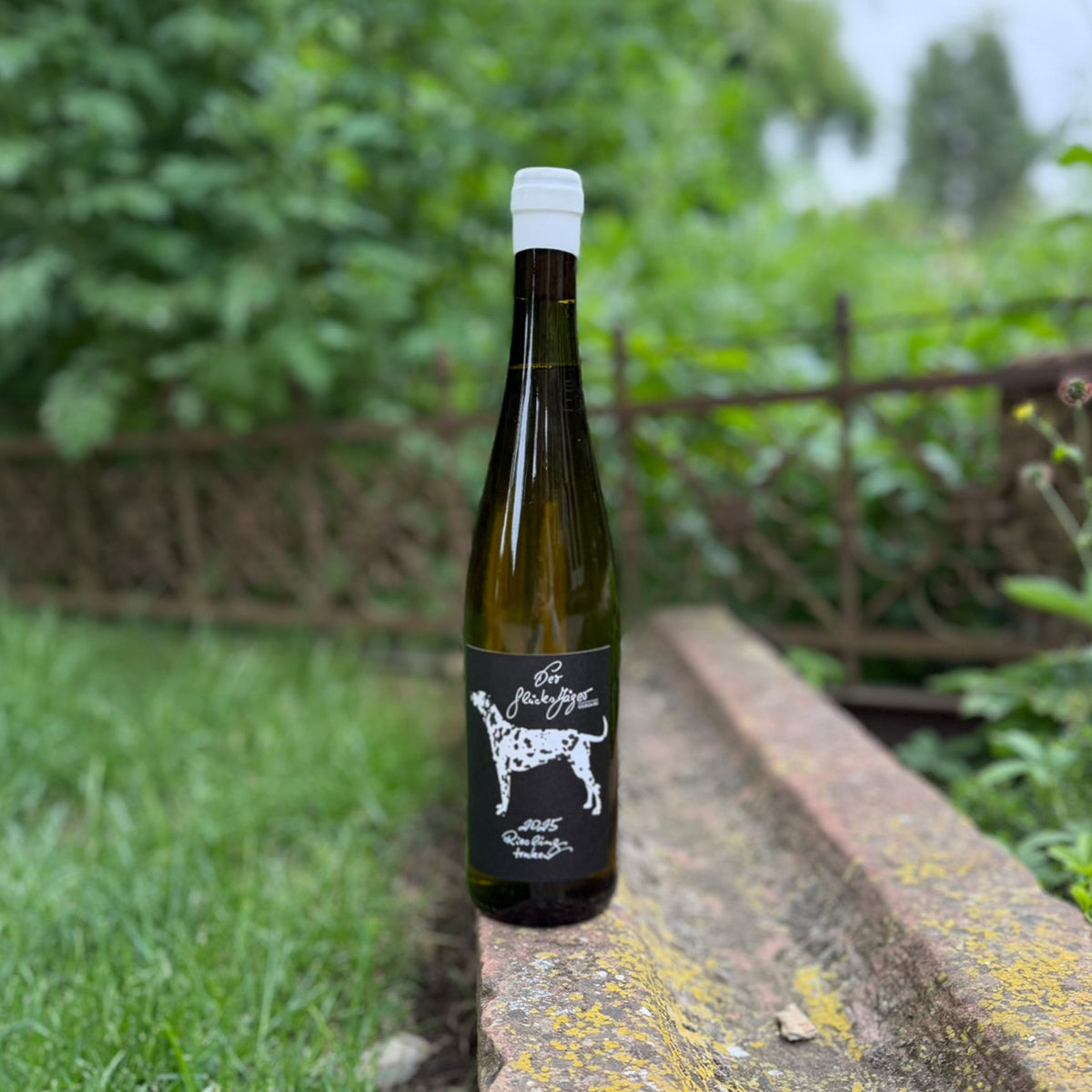 2025 Riesling trocken